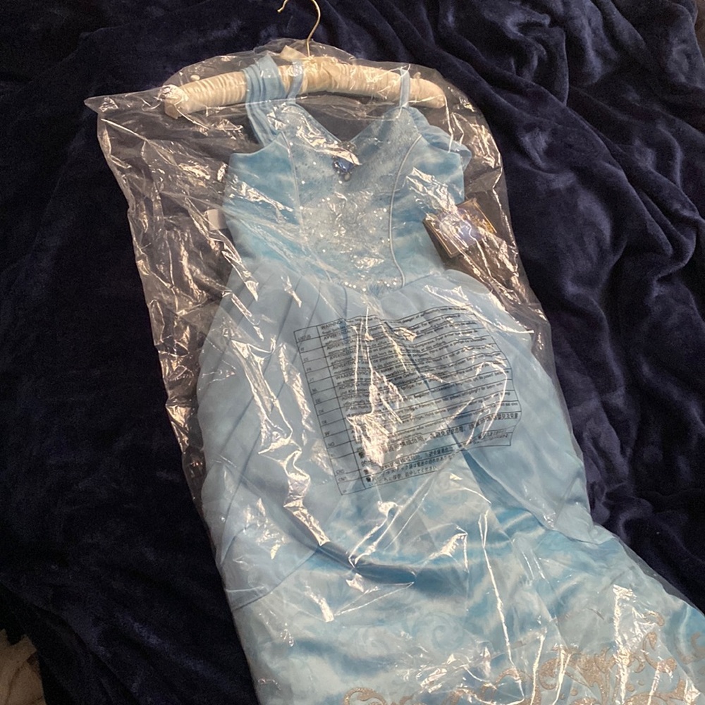 Disney Designer collection Cinderella dress
